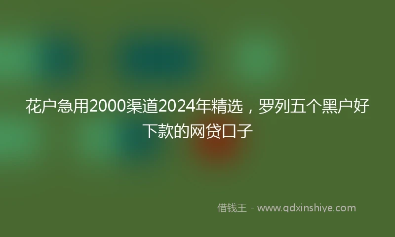 花户急用2000渠道2024年精选，罗列五个黑户好下款的网贷口子