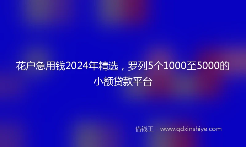 花户急用钱2024年精选，罗列5个1000至5000的小额贷款平台