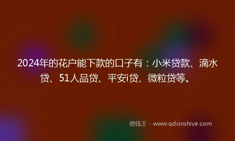2024年的花户能下款的口子有：小米贷款、滴水贷、51人品贷、平安i贷、微粒贷等。