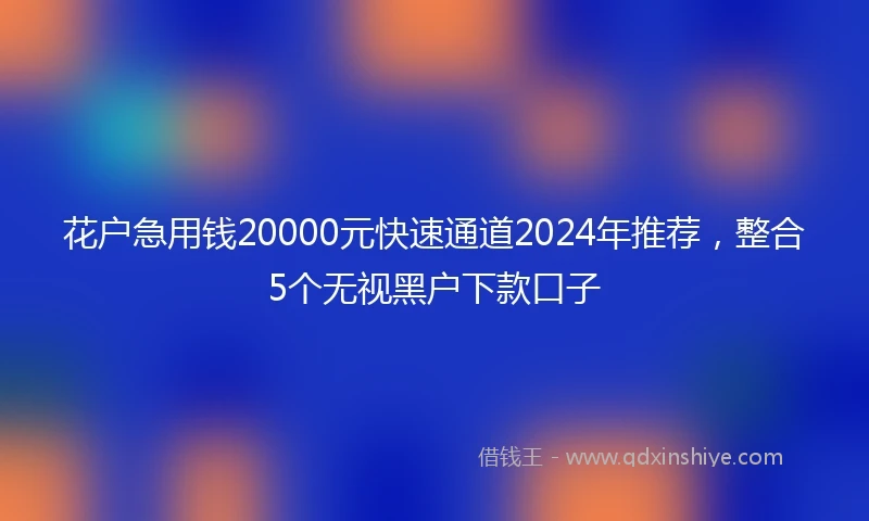 花户急用钱20000元快速通道2024年推荐，整合5个无视黑户下款口子