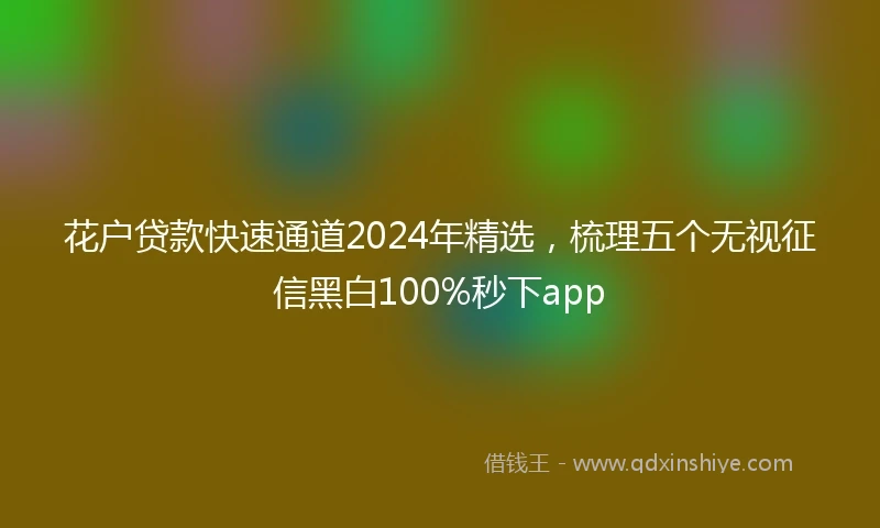 花户贷款快速通道2024年精选，梳理五个无视征信黑白100%秒下app