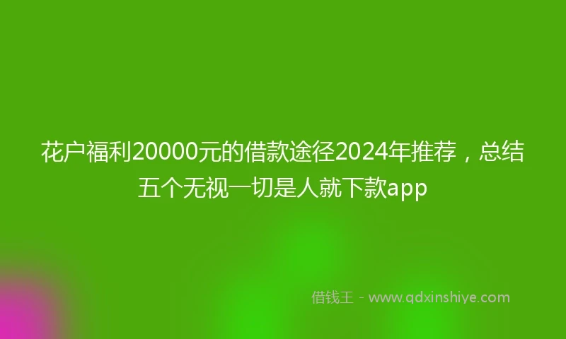 花户福利20000元的借款途径2024年推荐，总结五个无视一切是人就下款app