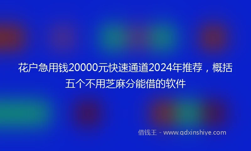 花户急用钱20000元快速通道2024年推荐，概括五个不用芝麻分能借的软件