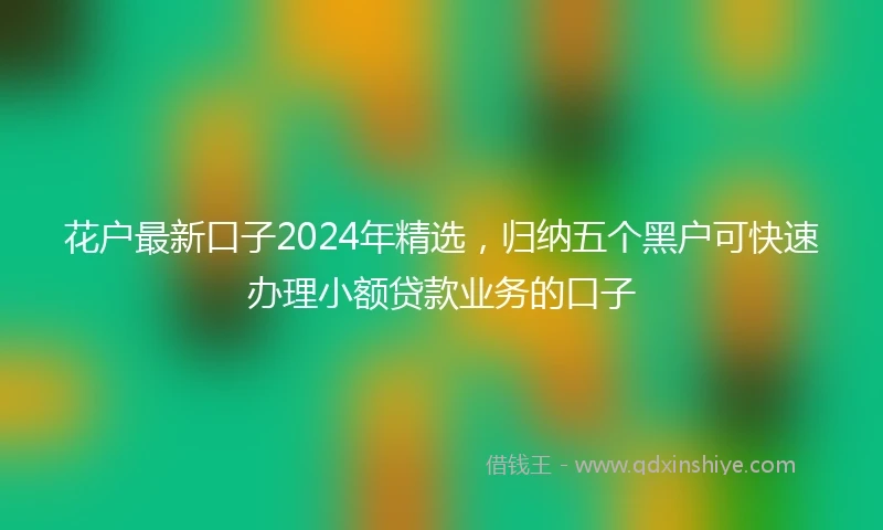 花户最新口子2024年精选，归纳五个黑户可快速办理小额贷款业务的口子
