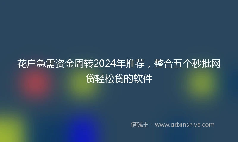 花户急需资金周转2024年推荐，整合五个秒批网贷轻松贷的软件