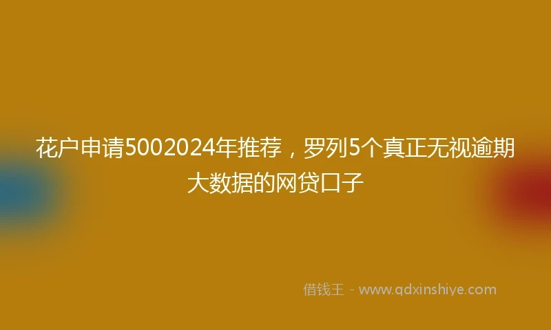 花户申请5002024年推荐，罗列5个真正无视逾期大数据的网贷口子