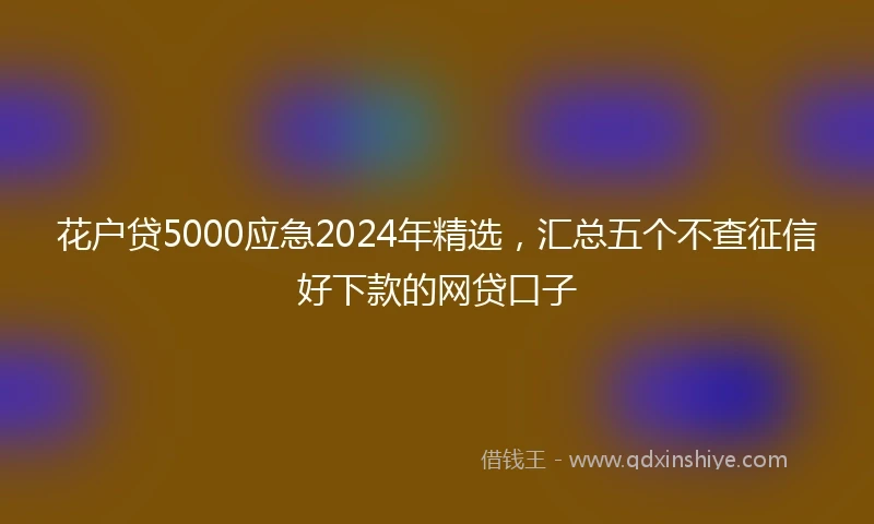 花户贷5000应急2024年精选，汇总五个不查征信好下款的网贷口子