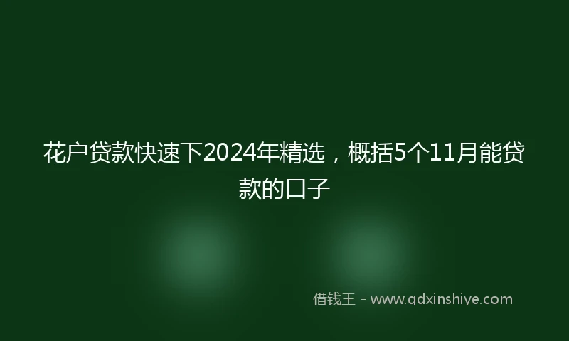 花户贷款快速下2024年精选，概括5个11月能贷款的口子