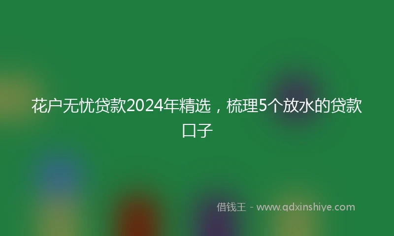 花户无忧贷款2024年精选，梳理5个放水的贷款口子