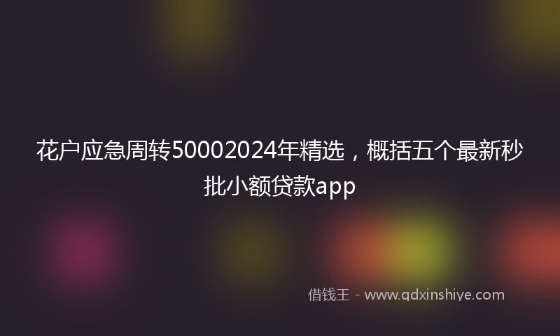 花户应急周转50002024年精选，概括五个最新秒批小额贷款app
