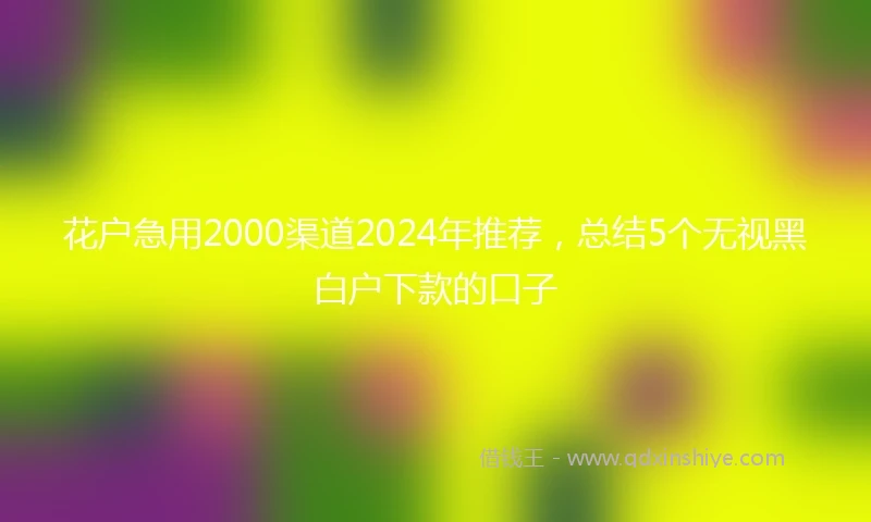 花户急用2000渠道2024年推荐，总结5个无视黑白户下款的口子