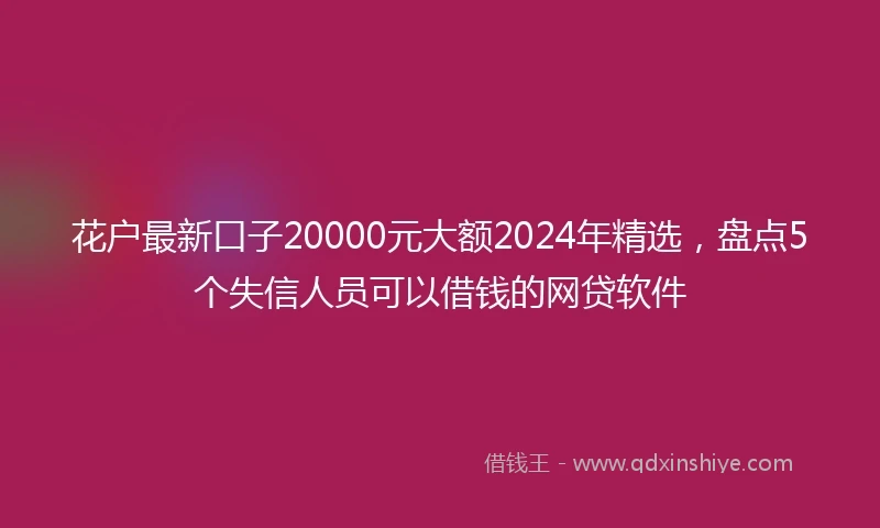 花户最新口子20000元大额2024年精选，盘点5个失信人员可以借钱的网贷软件