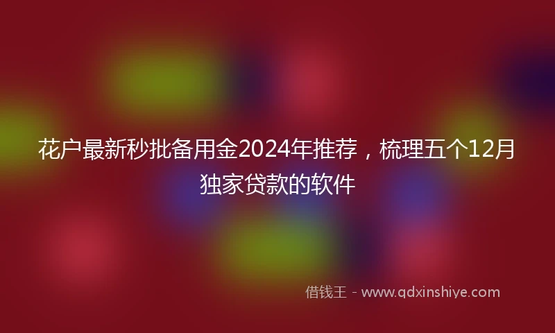 花户最新秒批备用金2024年推荐，梳理五个12月独家贷款的软件