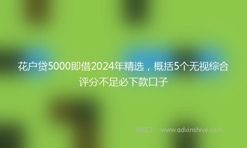 花户贷5000即借2024年精选，概括5个无视综合评分不足必下款口子