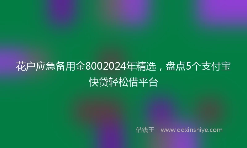 花户应急备用金8002024年精选，盘点5个支付宝快贷轻松借平台