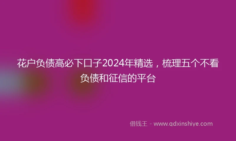 花户负债高必下口子2024年精选，梳理五个不看负债和征信的平台