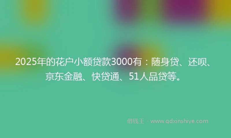 2025年的花户小额贷款3000有:随身贷、还呗、京东金融、快贷通、51人品贷等。