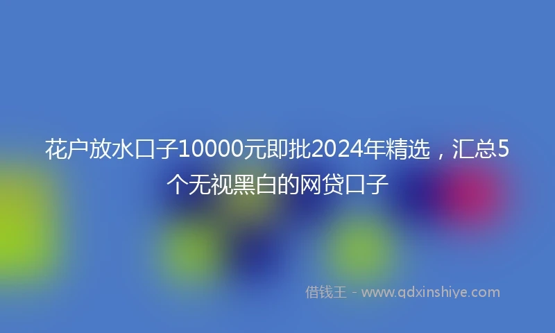 花户放水口子10000元即批2024年精选，汇总5个无视黑白的网贷口子