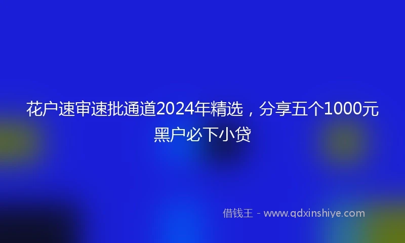 花户速审速批通道2024年精选，分享五个1000元黑户必下小贷