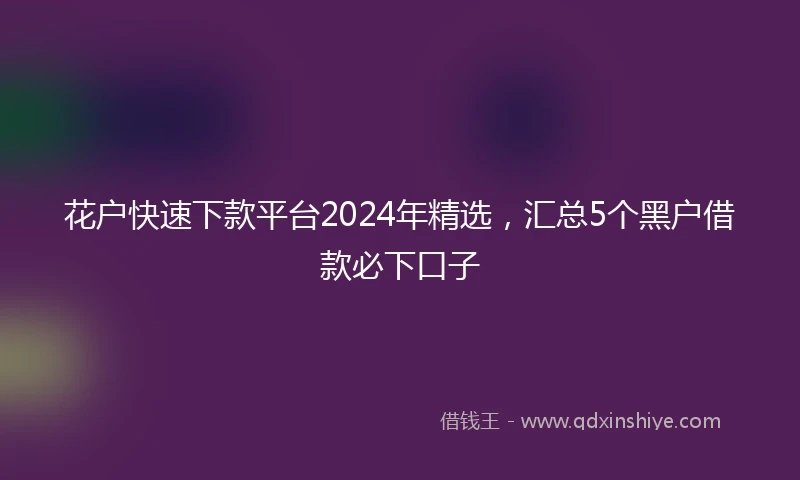 花户快速下款平台2024年精选，汇总5个黑户借款必下口子