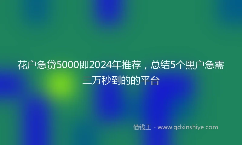 花户急贷5000即2024年推荐，总结5个黑户急需三万秒到的的平台