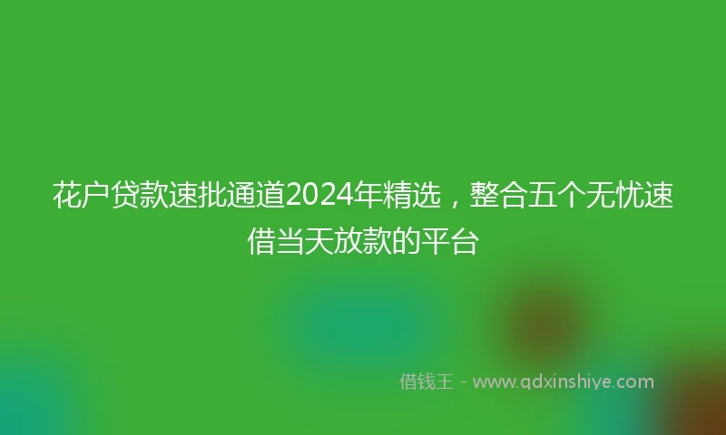 花户贷款速批通道2024年精选，整合五个无忧速借当天放款的平台