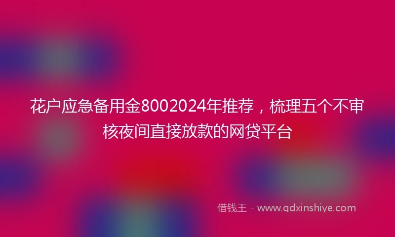 花户应急备用金8002024年推荐，梳理五个不审核夜间直接放款的网贷平台