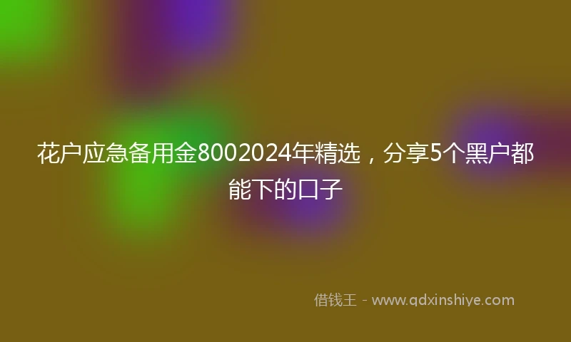 花户应急备用金8002024年精选，分享5个黑户都能下的口子