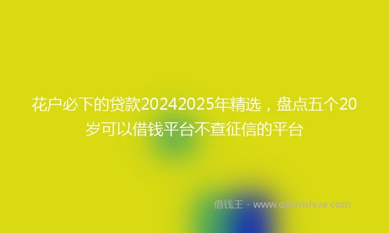 花户必下的贷款20242025年精选，盘点五个20岁可以借钱平台不查征信的平台