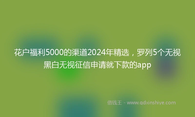 花户福利5000的渠道2024年精选，罗列5个无视黑白无视征信申请就下款的app