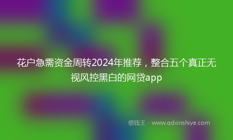 花户急需资金周转2024年推荐，整合五个真正无视风控黑白的网贷app