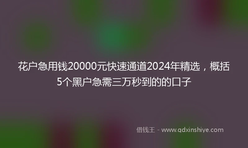 花户急用钱20000元快速通道2024年精选,概括5个黑户急需三万秒到的的口子