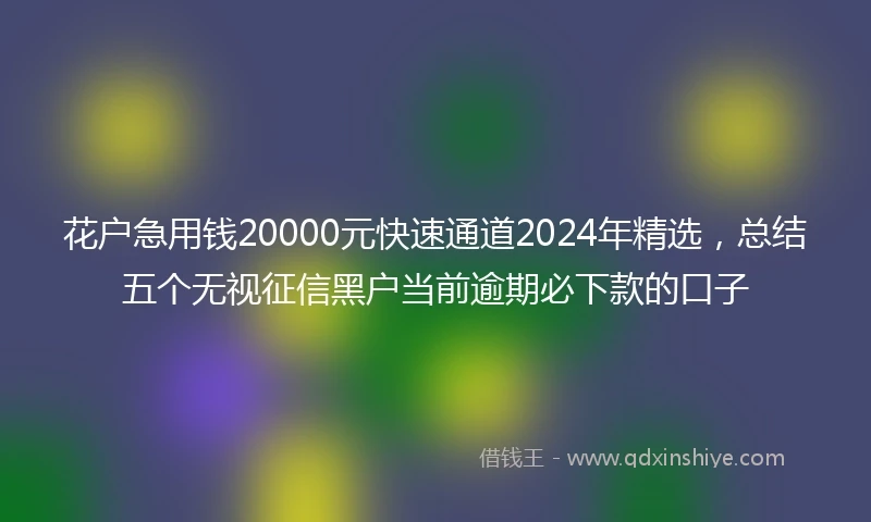 花户急用钱20000元快速通道2024年精选，总结五个无视征信黑户当前逾期必下款的口子