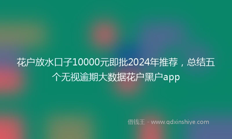 花户放水口子10000元即批2024年推荐，总结五个无视逾期大数据花户黑户app