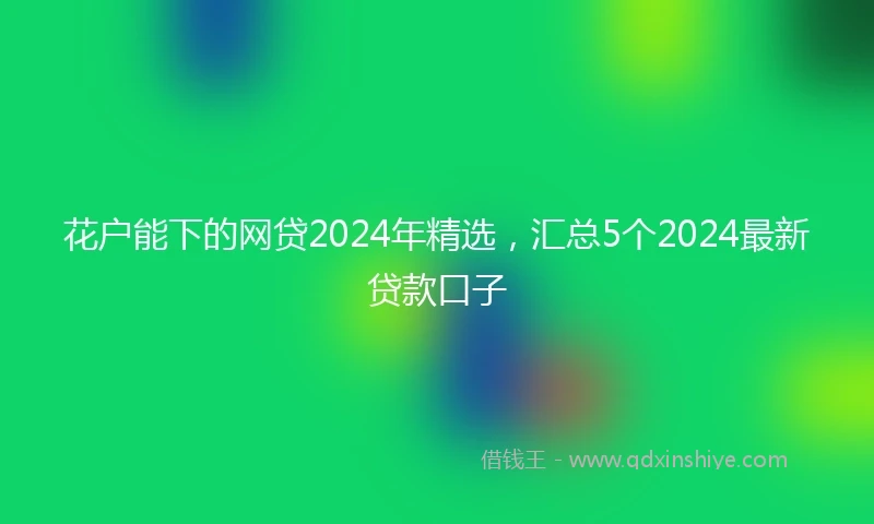 花户能下的网贷2024年精选，汇总5个2024最新贷款口子