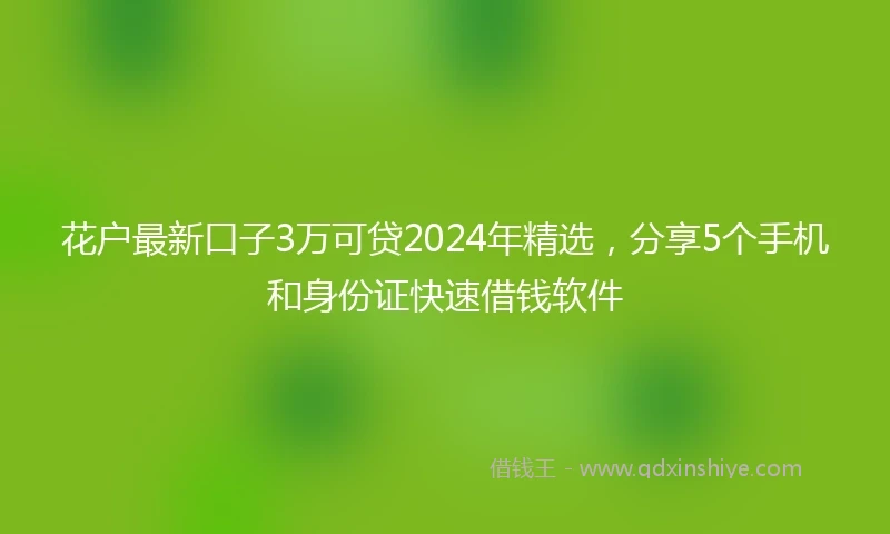 花户最新口子3万可贷2024年精选，分享5个手机和身份证快速借钱软件