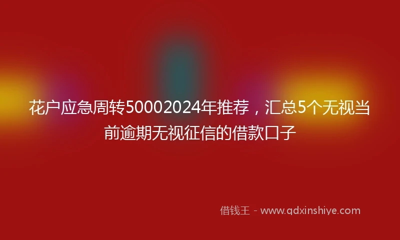 花户应急周转50002024年推荐，汇总5个无视当前逾期无视征信的借款口子