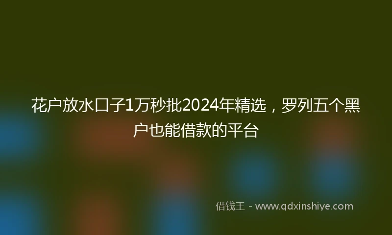 花户放水口子1万秒批2024年精选，罗列五个黑户也能借款的平台