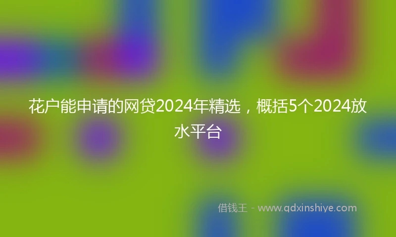 花户能申请的网贷2024年精选，概括5个2024放水平台