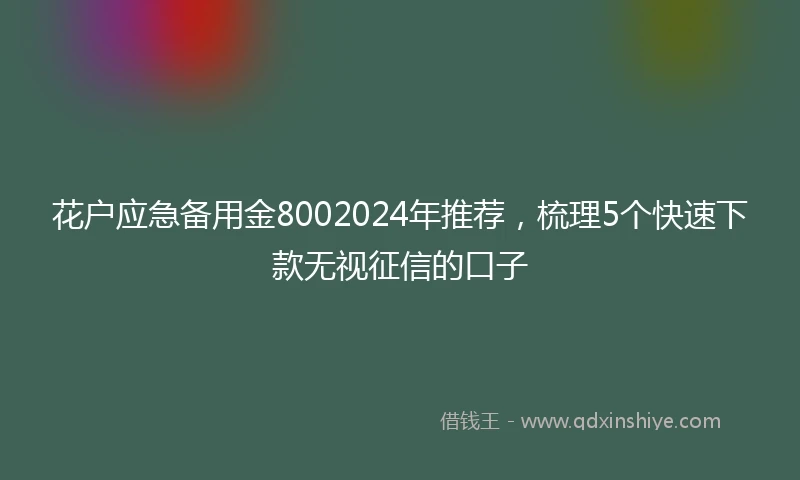花户应急备用金8002024年推荐，梳理5个快速下款无视征信的口子