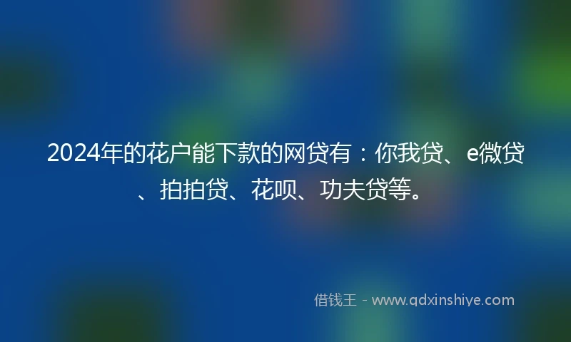 2024年的花户能下款的网贷有：你我贷、e微贷、拍拍贷、花呗、功夫贷等。
