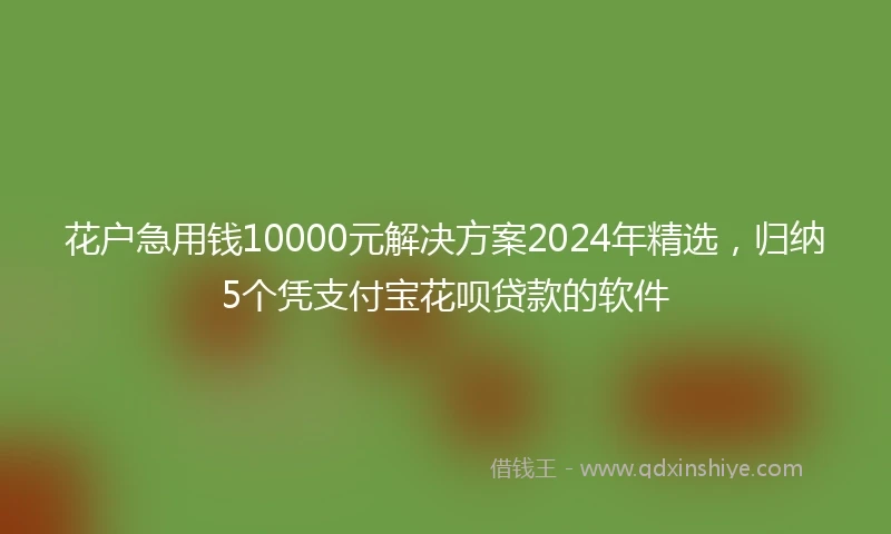 花户急用钱10000元解决方案2024年精选，归纳5个凭支付宝花呗贷款的软件