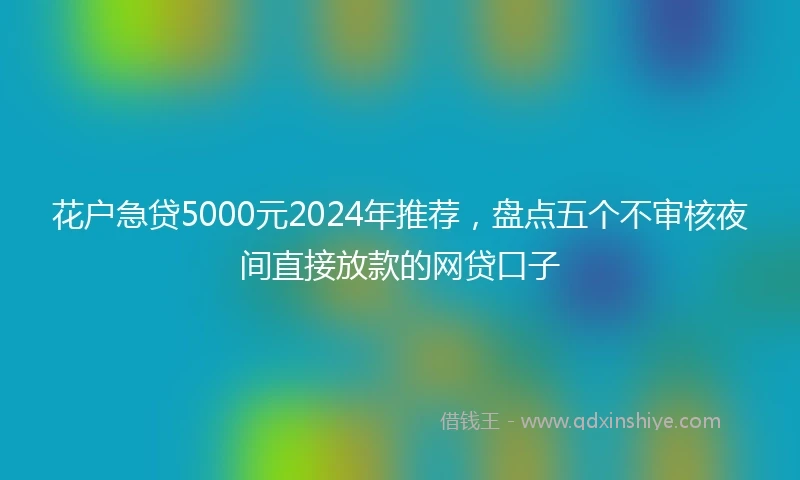 花户急贷5000元2024年推荐，盘点五个不审核夜间直接放款的网贷口子