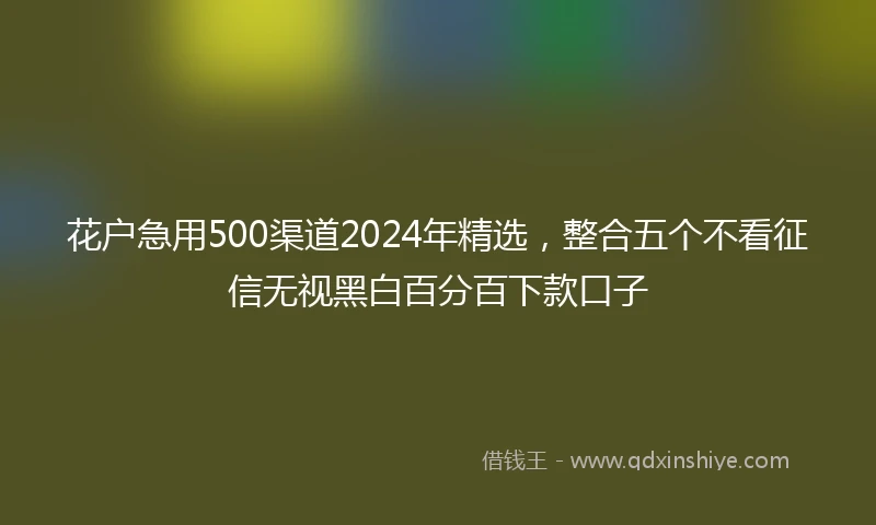 花户急用500渠道2024年精选，整合五个不看征信无视黑白百分百下款口子