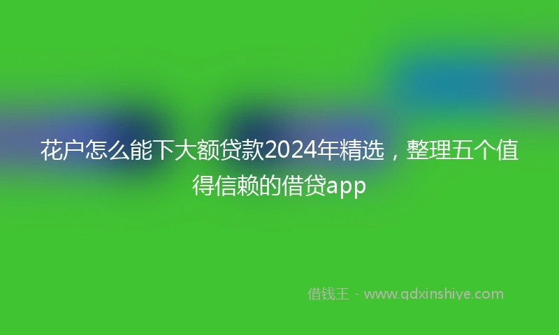 花户怎么能下大额贷款2024年精选，整理五个值得信赖的借贷app