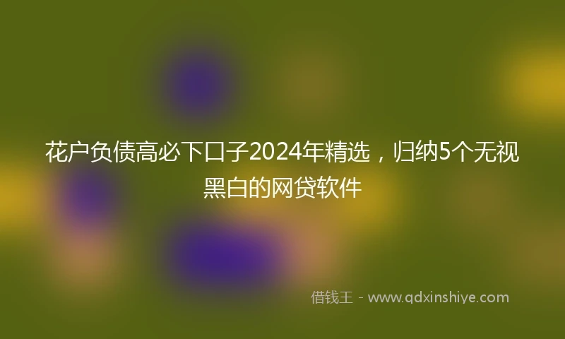 花户负债高必下口子2024年精选，归纳5个无视黑白的网贷软件