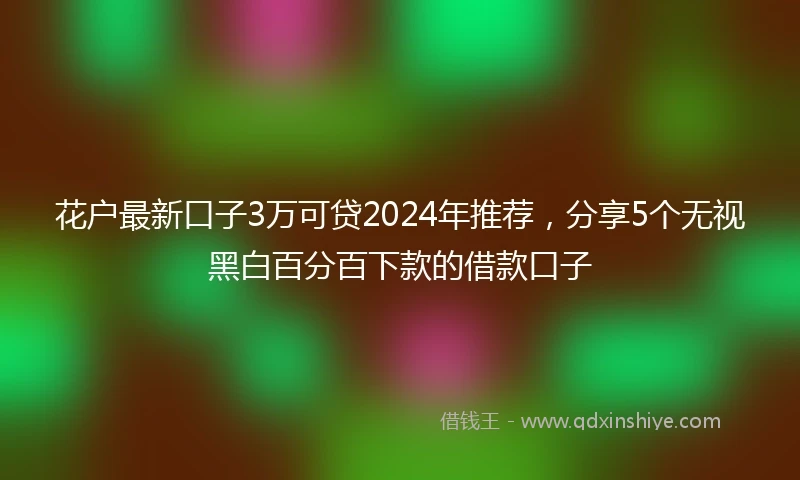 花户最新口子3万可贷2024年推荐，分享5个无视黑白百分百下款的借款口子