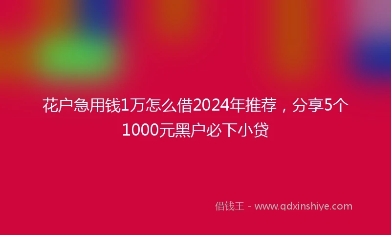 花户急用钱1万怎么借2024年推荐,分享5个1000元黑户必下小贷