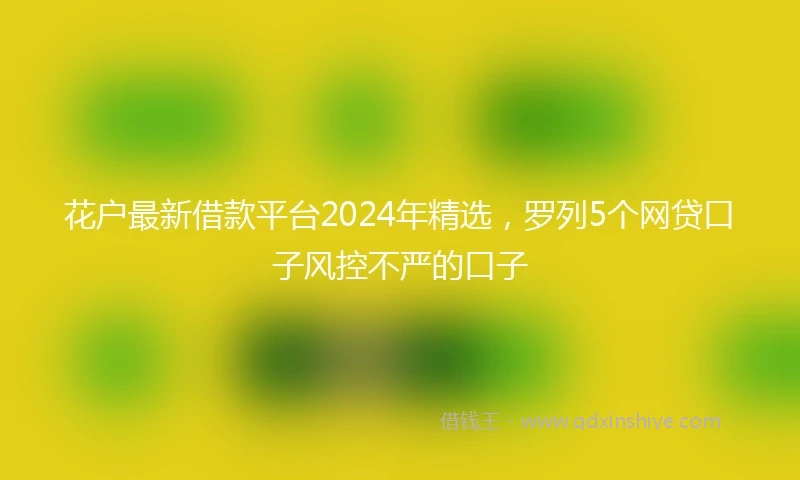 花户最新借款平台2024年精选，罗列5个网贷口子风控不严的口子