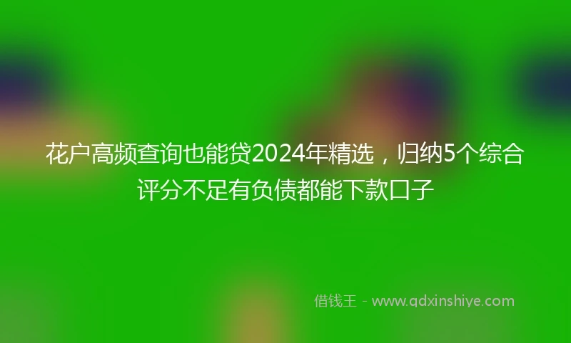 花户高频查询也能贷2024年精选，归纳5个综合评分不足有负债都能下款口子